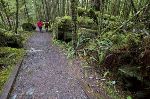 Photo Cape Scott Trail Vancouver Island