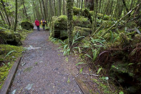 Photo: Cape Scott Trail Vancouver Island